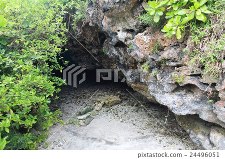 wild silver cold spring 24496051