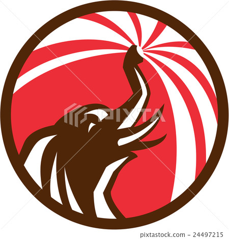 Elephant Bathing Water Circle Retro 24497215