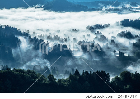 Nagaoka city, Niigata Prefecture Yamakoshi The Great Sea of Clouds and the Satoyama of the Sunlight Nagaoka city, Niigata Prefecture Yamakoshi The Great Sea of Clouds and the Satoyama of the Sunlight 24497387