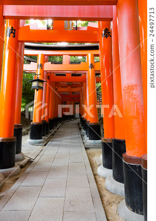 Fushimi-Inari Taisha Fushimi-Inari Taisha 24497713