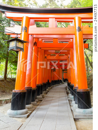 Fushimi-Inari Taisha Fushimi-Inari Taisha 24497715