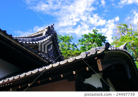 Kakegawa Castle God 24497739
