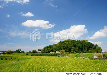 Scenery where Sugawara Fushimi Higashi Ling (Emperor Vitae) can be seen · September Scenery where Sugawara Fushimi Higashi Ling (Emperor Vitae) can be seen · September 24499876