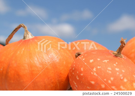 Blue sky and orange toy pumpkin Blue sky and orange toy pumpkin 24500029