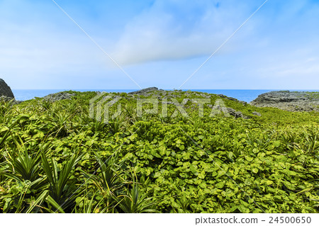 Street pond pot bottom pond 24500650