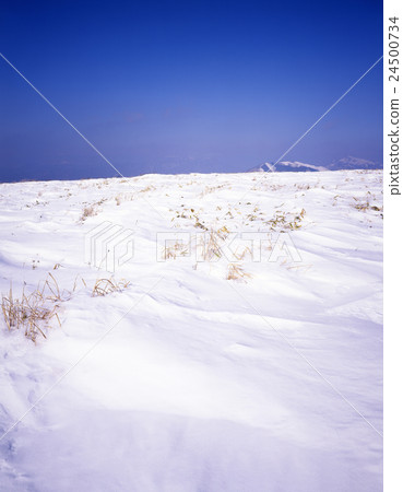The snowy field and the blue sky 24500734