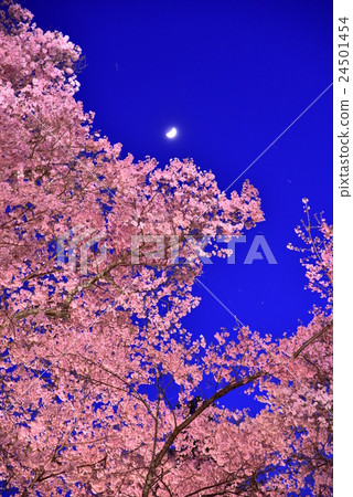Takato Castle Ruins Park Takato Castle Ruins Park 24501454