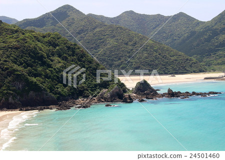 Sunflower Goto Island of Islands Fukue Island Takahama Beach Japan's 100 beaches 24501460