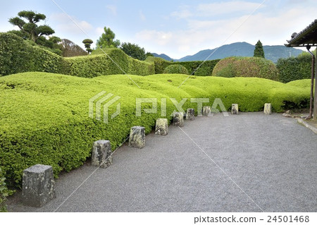 龜武士住宅花園 24501468