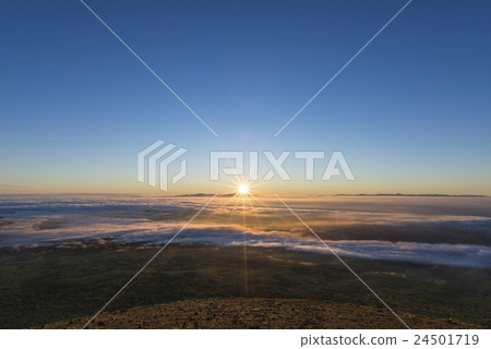 日出和雲海 24501719