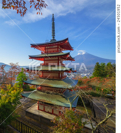 Mt. Fuji with Chureito Pagoda, Fujiyoshida, Japan 24501952