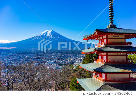 [山梨縣]新村山仙根公園 24502465