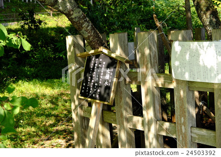 Tazawako Ginza stone's seven trees 24503392