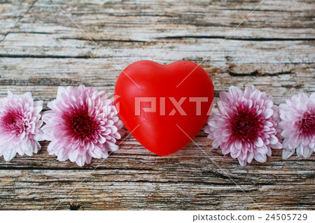 Violet Mums Flowers on Vintage Wood Table. 24505729