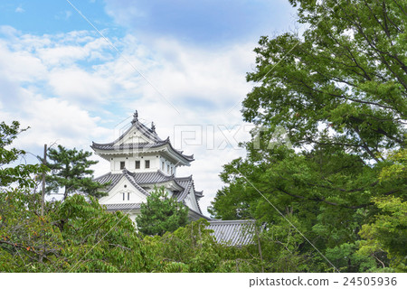 大垣城堡的風景 大垣城堡的風景 24505936