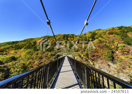 Autumn leaves Kinida Shidohi Suspension Bridge Nikko Autumn leaves Kinida Shidohi Suspension Bridge Nikko 24507611
