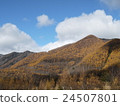 落葉松山 24507801