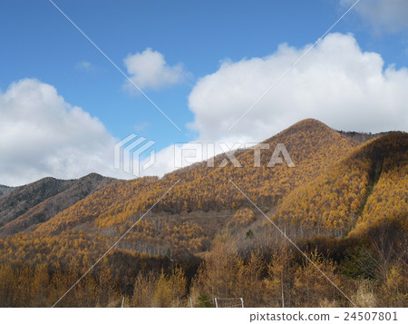 落葉松山 24507801