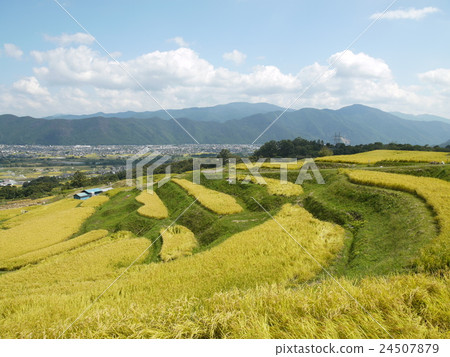 被遺棄的（烤）米飯露台 24507879