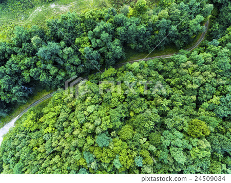Forest road rally image (true aerial view aerial photograph) 24509084