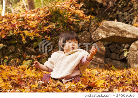 Baby and autumn leaves 24509166