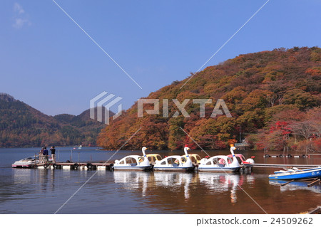 湖Haruna秋葉 24509262