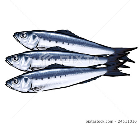 Iwashi sardine Iwashi illustration - Stock Illustration [24511010] - PIXTA