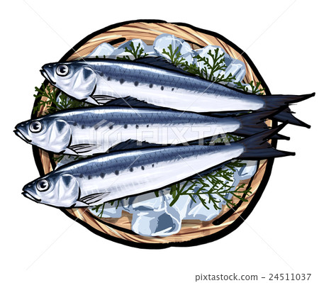 Iwashi沙丁魚Iwashi例證 24511037
