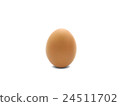Single brown eggs isolated on white, vector 24511702