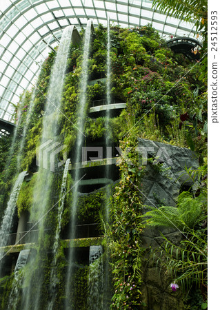 Gardens by the Bay 24512593
