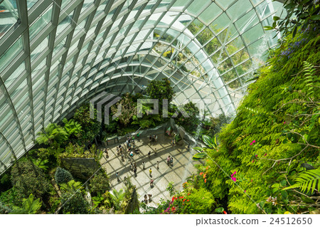Gardens by the Bay Gardens by the Bay 24512650