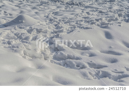 京都美山町雪景 24512710
