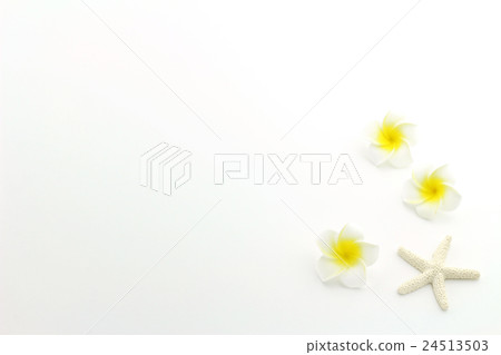 Summer image 24513503