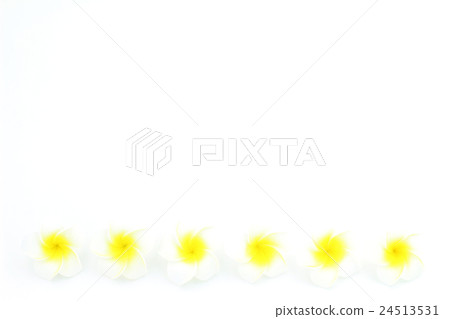 Summer image 24513531