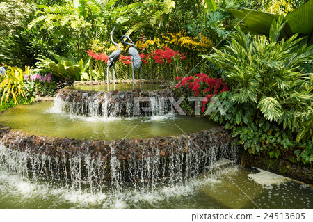 國家蘭花園 國家蘭花園 24513605