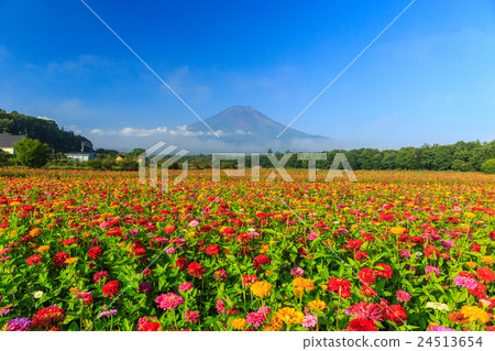 Mount Fuji Mount Fuji 24513654