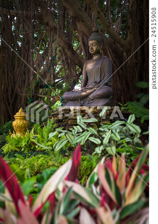 Buddha statue under trees 24515908