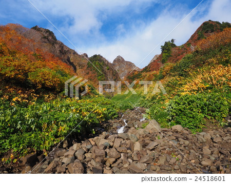 紅葉彩虹山Ara Sugasawa 24518601