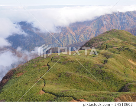 雨衣的乙女 24518602