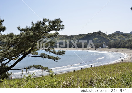 南伊豆町Yumigahama 南伊豆町Yumigahama 24519741