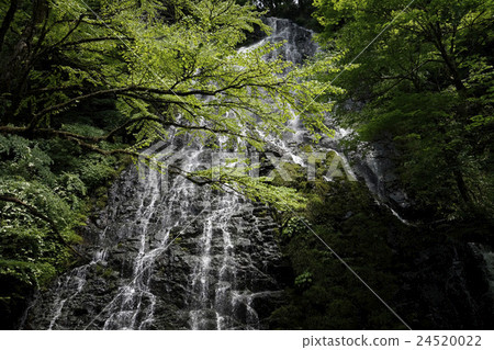 Ryusoga Falls, a famous waterfall in Fukui Prefecture, has been selected as one of the 100 best waterfalls in Japan. Cool even in summer Ryusoga Falls, a famous waterfall in Fukui Prefecture, has been selected as one of the 100 best waterfalls in Japan. Cool even in summer 24520022