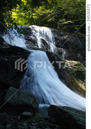 Waterfall of Lightning Rain <Summer> Waterfall of Lightning Rain <Summer> 24520373