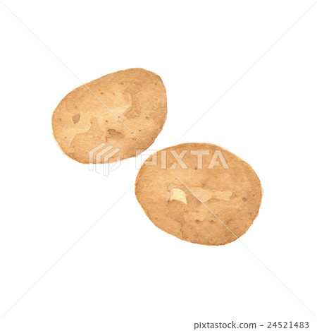 土豆 土豆 24521483