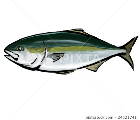 Cold berry illustration Cold berry illustration 24521741