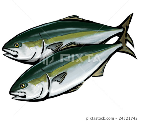 Cold berry illustration Cold berry illustration 24521742