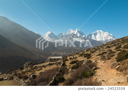 Himalayas 24523339