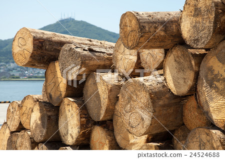 A log waiting for shipment at Hakodate Port Central Pier A log waiting for shipment at Hakodate Port Central Pier 24524688