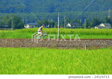 Rural scenery of Shinshu Azumino 24524713