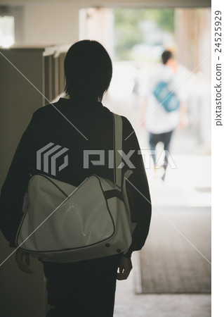 junior high school student, junior high student, middle school student 24525929