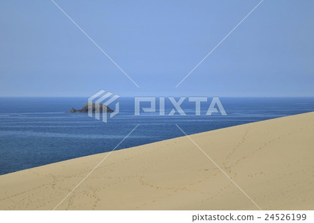 Tottori sand dune Oijima 24526199